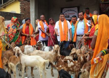 मिर्चैया नगरपालिकाद्वारा लक्षित समुदायलाई एक सय बाख्रा वितरण स्थानियहरु खुसि