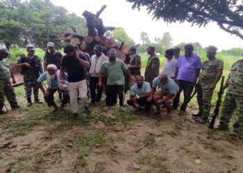 सिरहा प्रहरीद्वारा लाखौंको अबैध काठ बरामद