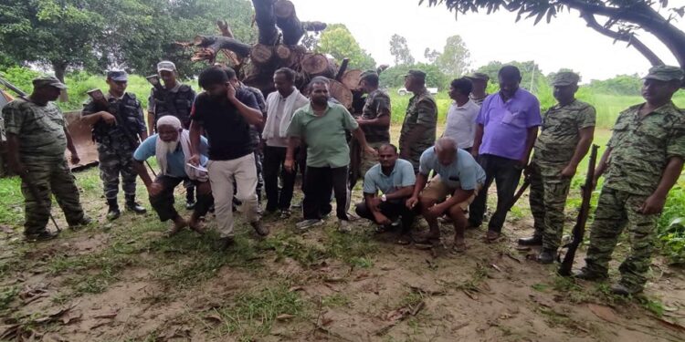 सिरहा प्रहरीद्वारा लाखौंको अबैध काठ बरामद