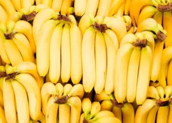 छठका लागि चार करोडको केरा आयात