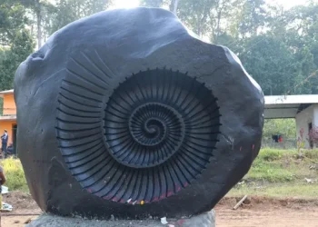 चितवनको माडीमा चक्रशिला स्थापना