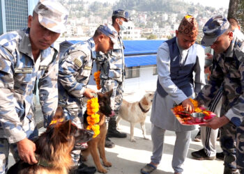 तिहारमा सशस्त्र प्रहरीको कुकुर पूजा