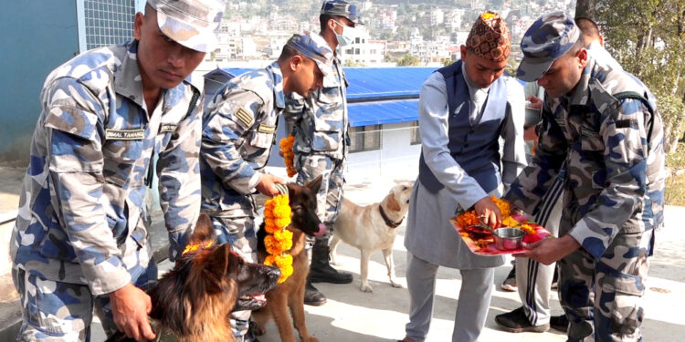 तिहारमा सशस्त्र प्रहरीको कुकुर पूजा