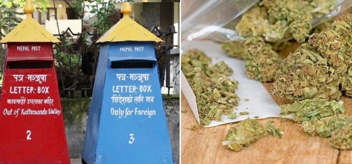 हुलाकबाट गाँजा सप्लाई, गण्डकीमा दुर्व्यसनीको ग्राफ बढ्दो