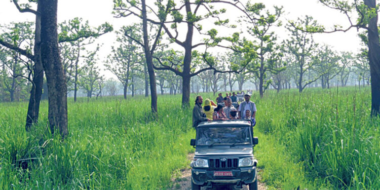 अंग्रेजी नयाँ वर्ष मनाउन सौराहमा पर्यटक बढे