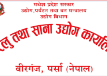 आर्थिक मन्दीले पर्साका १७७ उद्योग बन्द