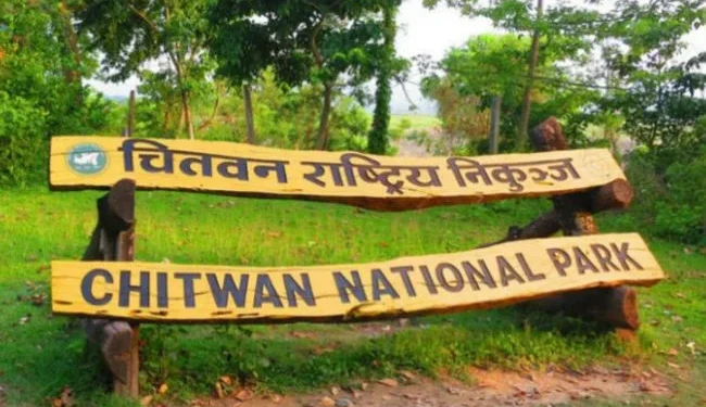 गैँडा मारेको आरोपमा एक पुरुष पक्राउ