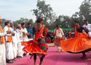 माघीको रमझममा थारु बस्ती : सुँगुर बिना पर्व नै ‘फिक्का’ !