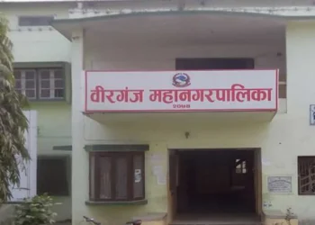 वीरगञ्जमा रात्रि बजार सञ्चालन गर्दै महानगर