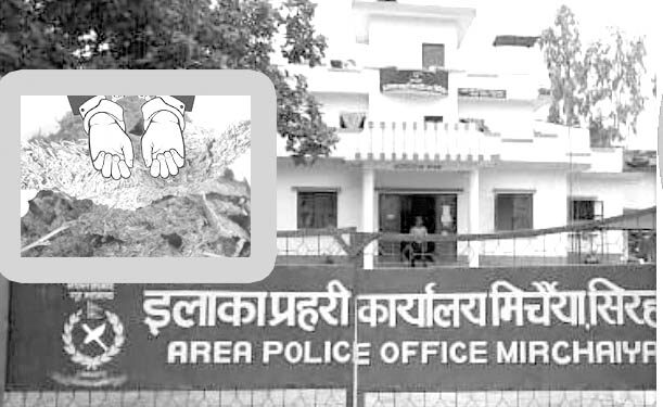 कर्जन्हामा गाँजा सहित राउत पक्राउ