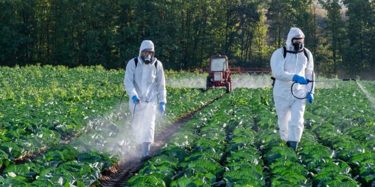 खेतबारीमा विषादीको प्रयोग बढ्दो, क्यान्सरदेखि मिर्गौला फेलको खतरा