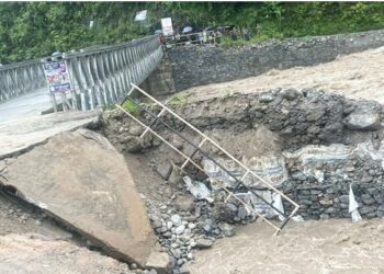 ४१ पुल बाढीमा बगे, १० करोड बढीको क्षति